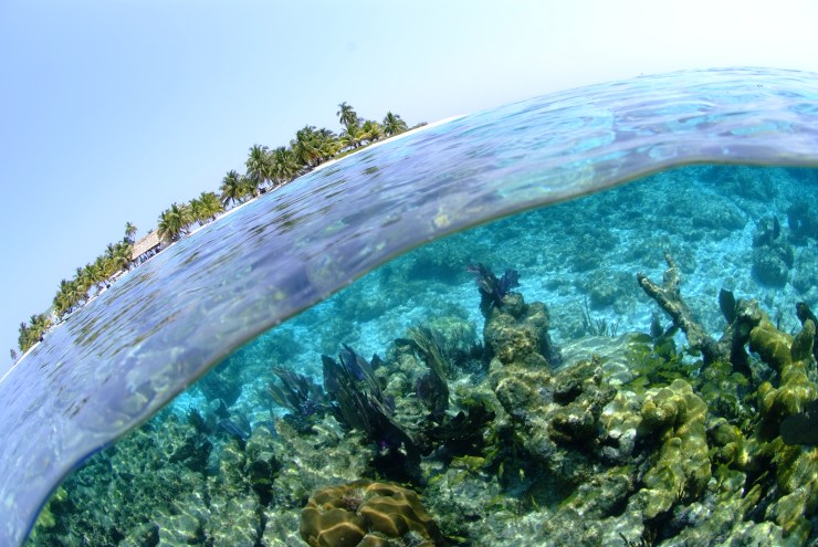 Ranguana caye…Muy&rsquo;ono