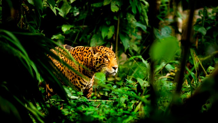 Central America…Belize