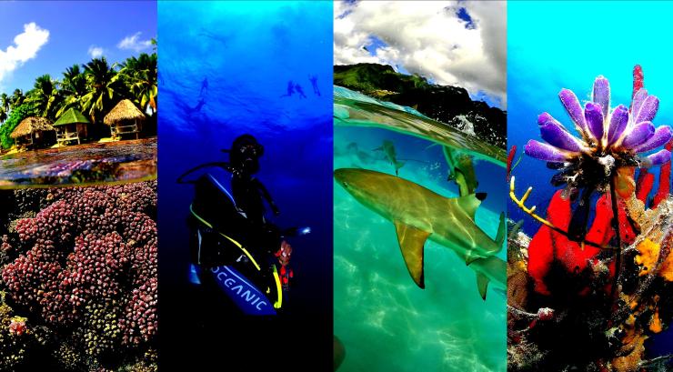 Belize… Mystérieux et îles multicolores