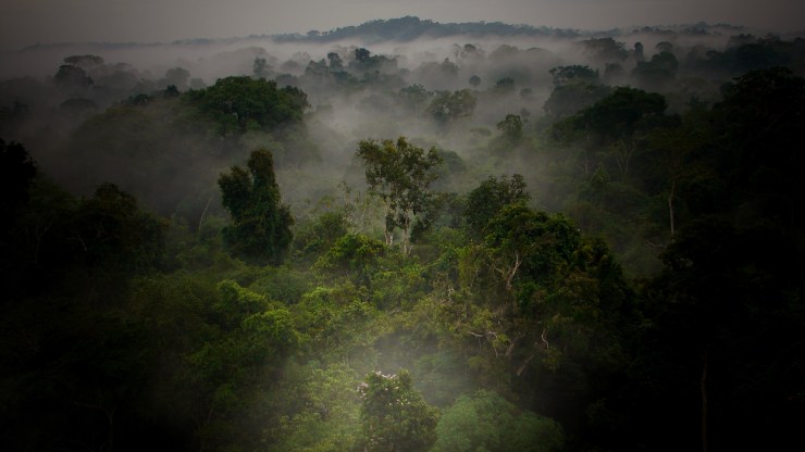 Chiquibul cave system … &laquo;&nbsp;The experience&nbsp;&raquo;.