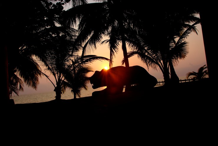 Robert&rsquo;s Grove…Belize