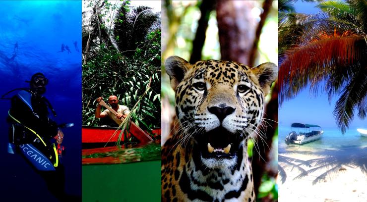 Programmes & Excursions…