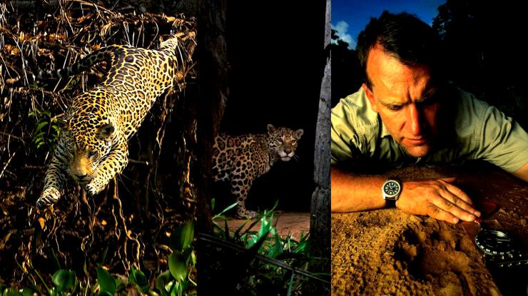 Remerciements à Alan Rabinowitz continuons le combat &laquo;&nbsp;panthera.org&nbsp;&raquo;