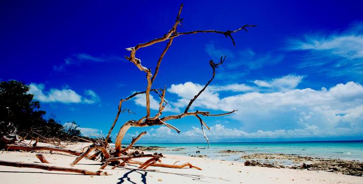 Voyage sur mesure…Nous répondons aux exigences les plus insolites et même au-delà de vos espérances.
